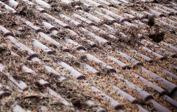 Millgillhead roof cleaning companies